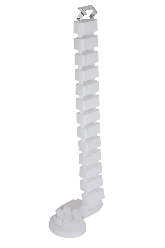 CM VERTEBRAE